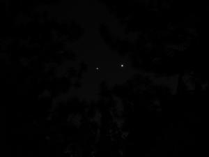 img_0293.jpg