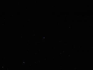 img_0299.jpg